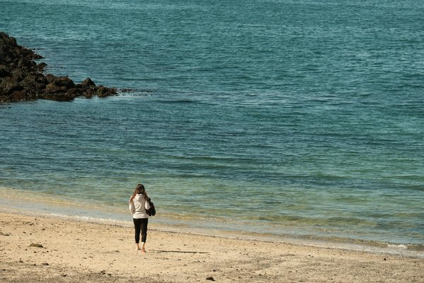 Élevez votre souplesse et force : découvrez les avantages surprenants du yoga vinyasa