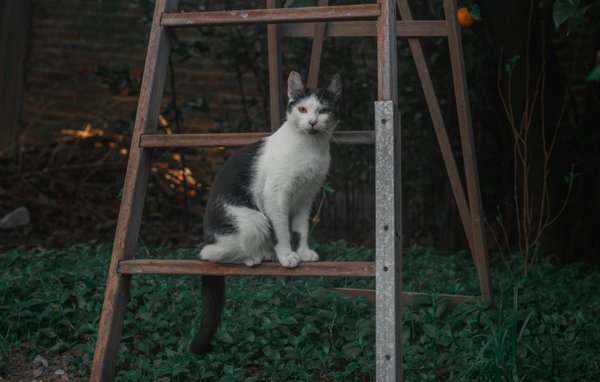 Prévenir et Traiter la Rétinopathie Diabétique : Guide Complet pour Protéger Votre Vision