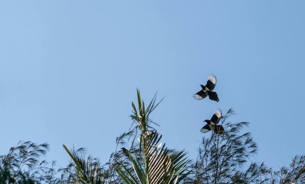 Sciencesportnutrition